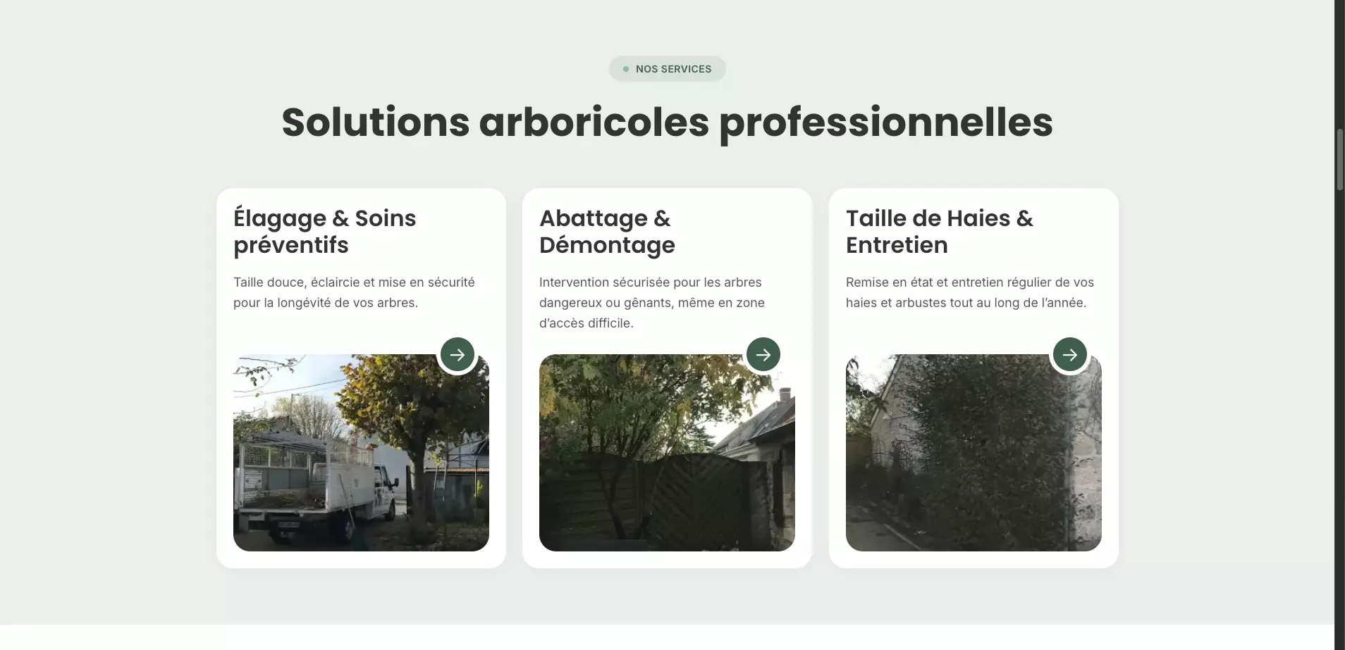 jb-elagage-orleans-services
