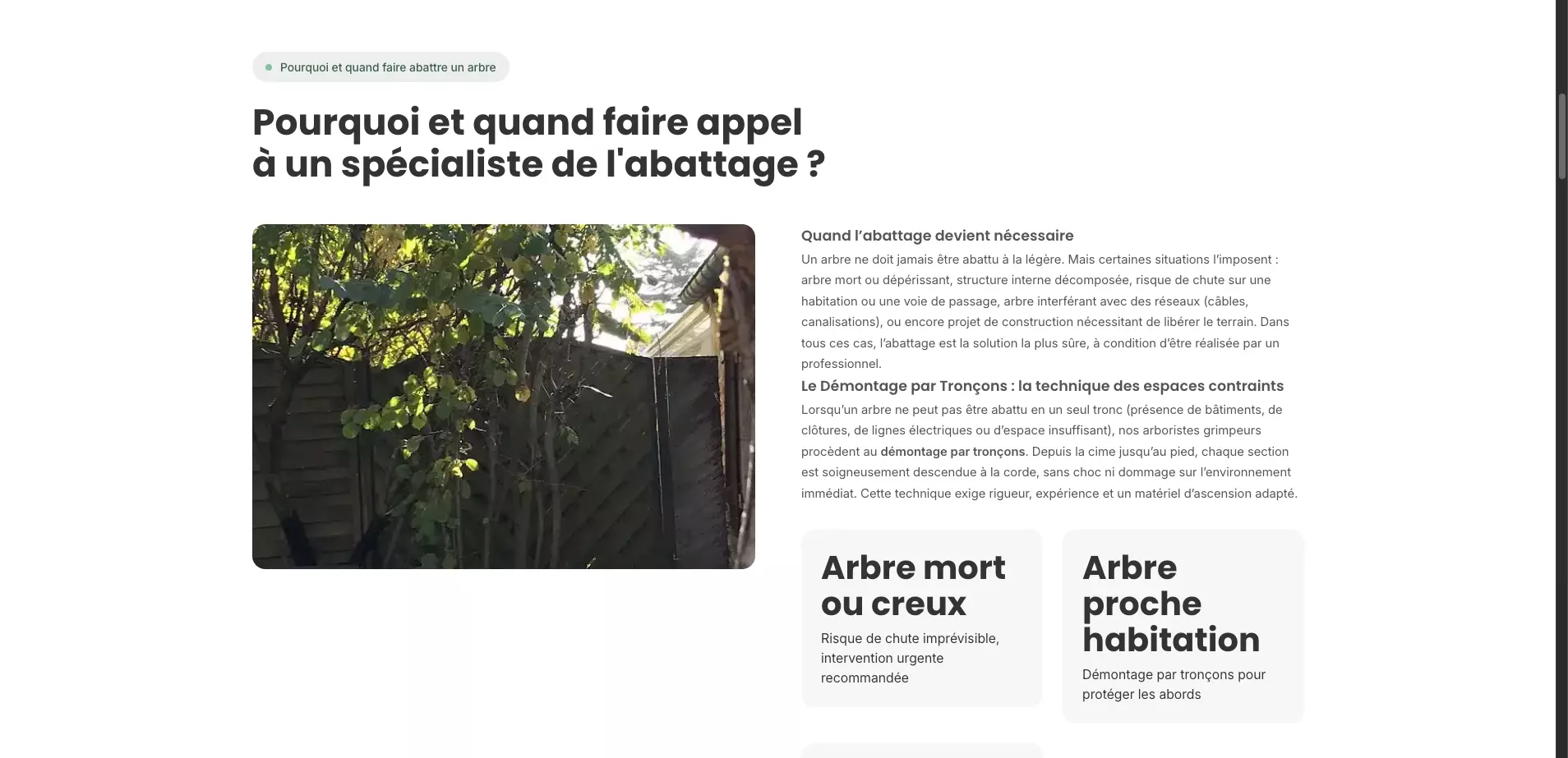 jb-elagage-orleans_nos-services-orleans_abattage-arbres-orleans-a-propos