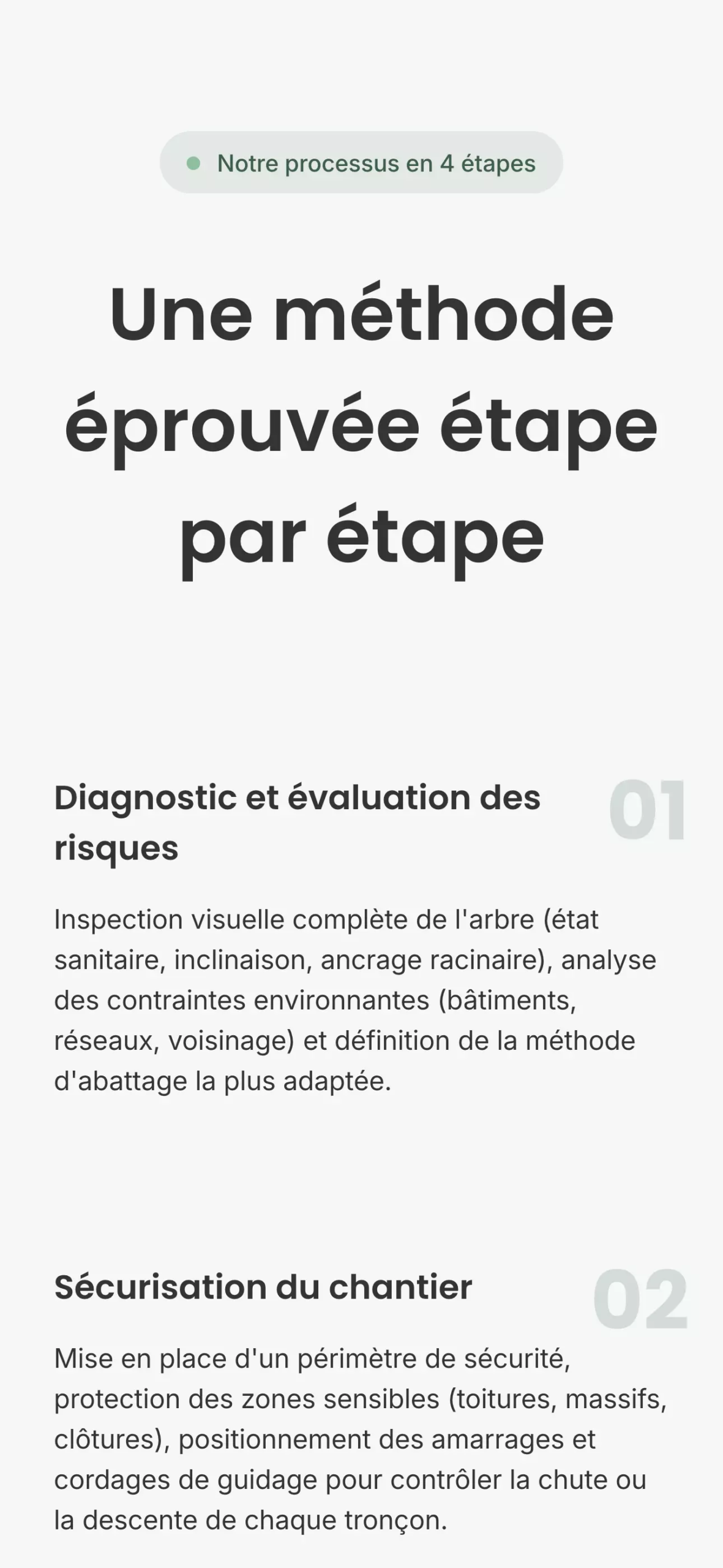 jb-elagage-orleans_nos-services-orleans_abattage-arbres-orleans-mobile-processus