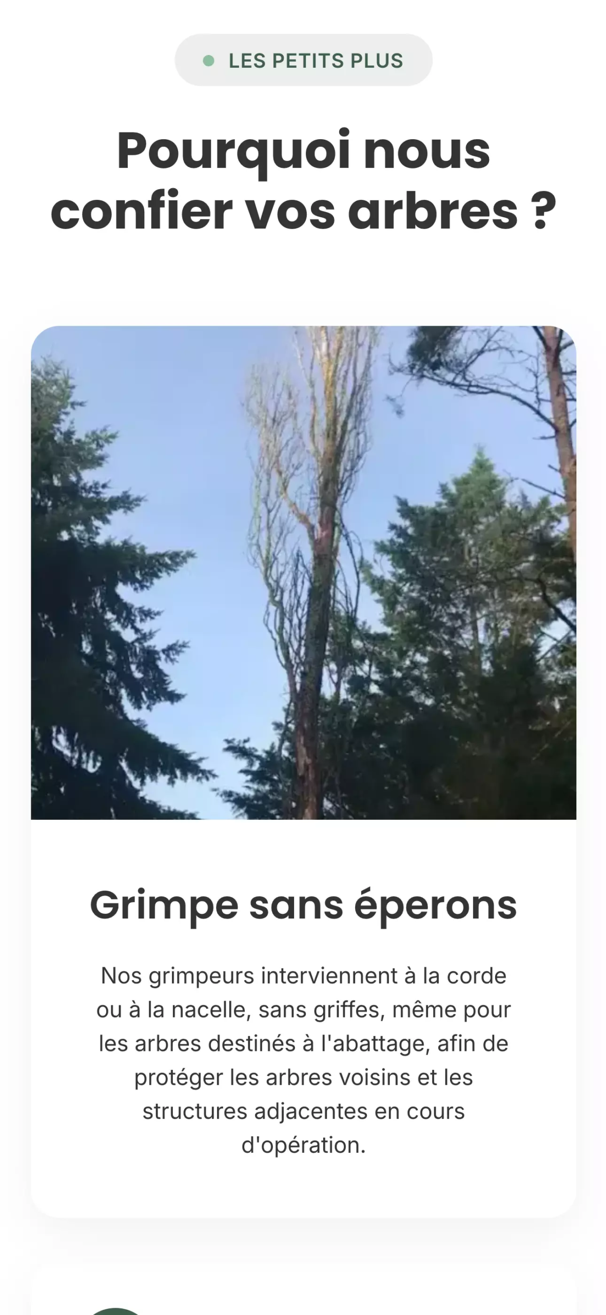 jb-elagage-orleans_nos-services-orleans_abattage-arbres-orleans-mobile-reassurance