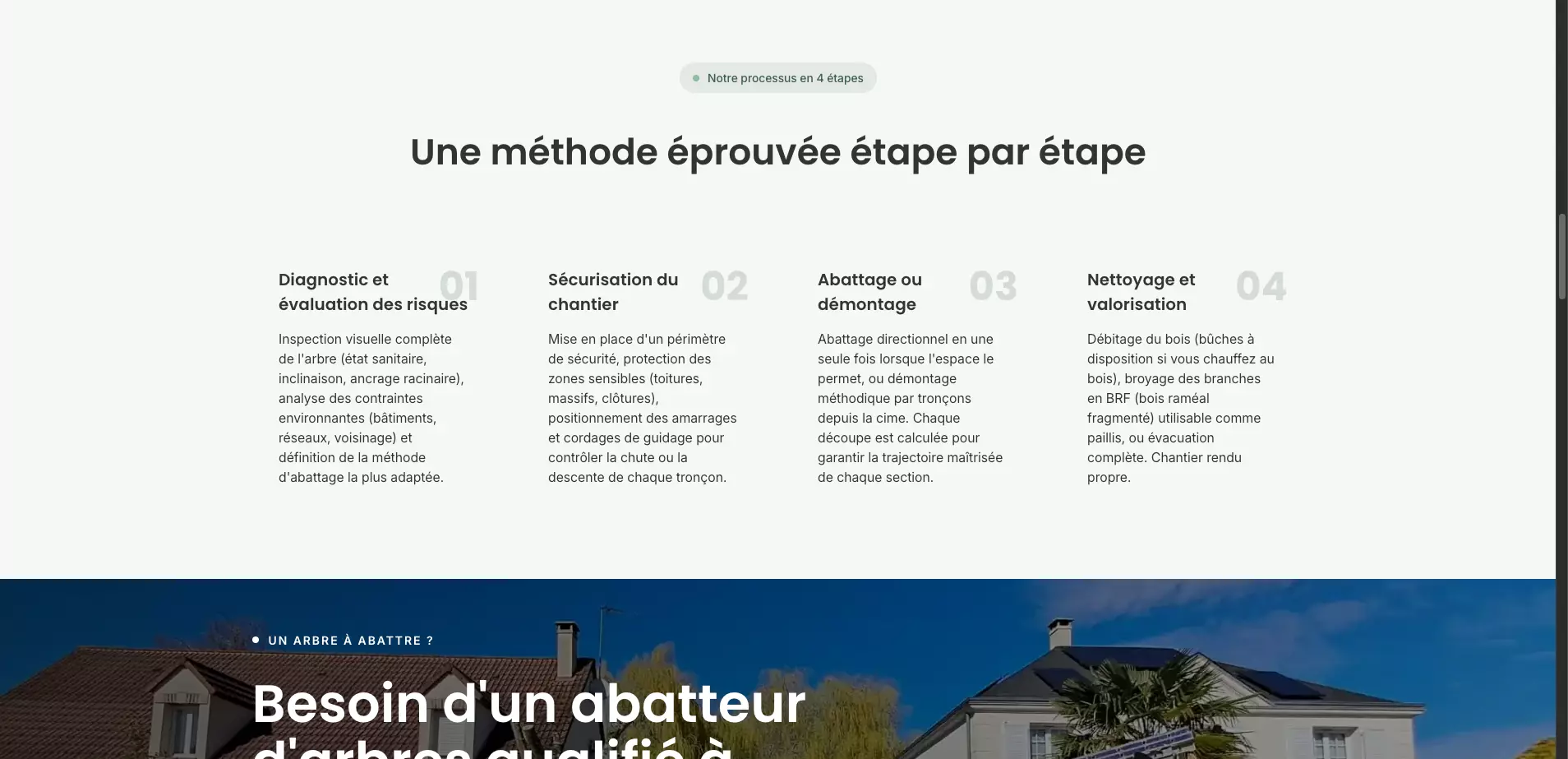 jb-elagage-orleans_nos-services-orleans_abattage-arbres-orleans-processus