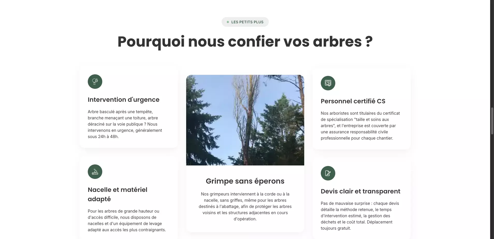 jb-elagage-orleans_nos-services-orleans_abattage-arbres-orleans-reassurance