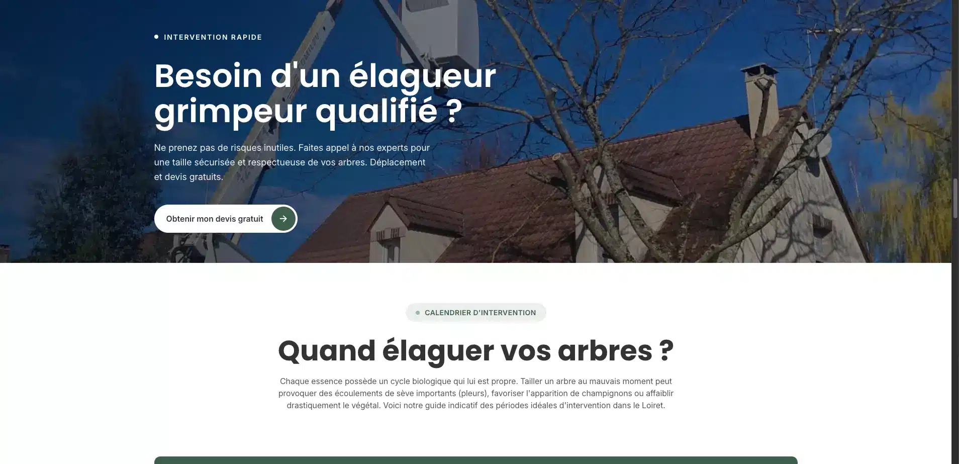jb-elagage-orleans_nos-services-orleans_elagage-orleans-appel-a-laction