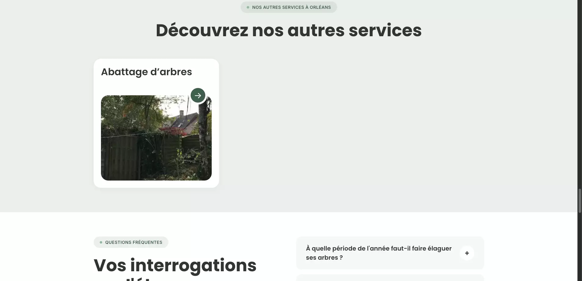 jb-elagage-orleans_nos-services-orleans_elagage-orleans-autres-services