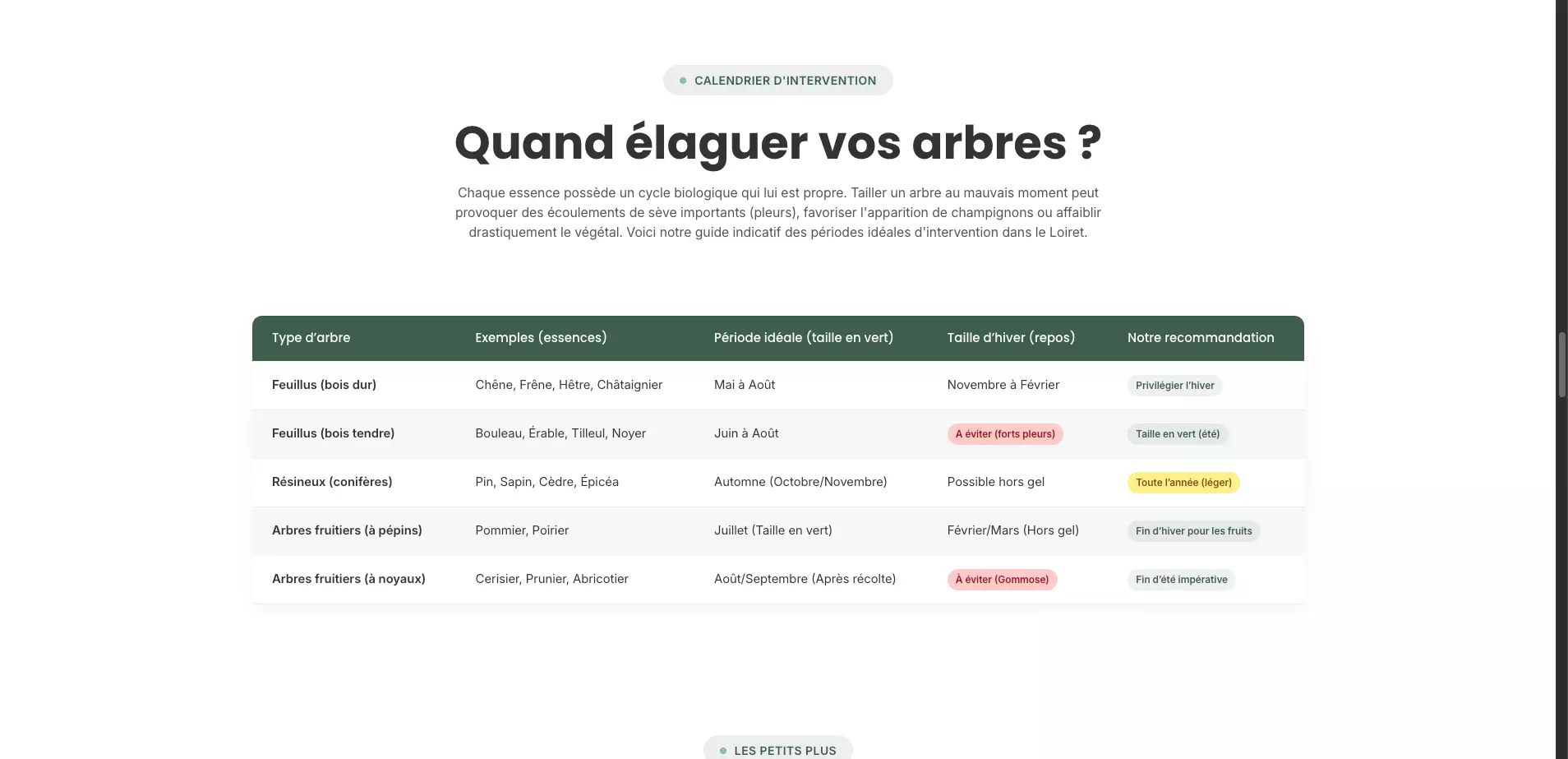 jb-elagage-orleans_nos-services-orleans_elagage-orleans-calendrier-delagage-orleans
