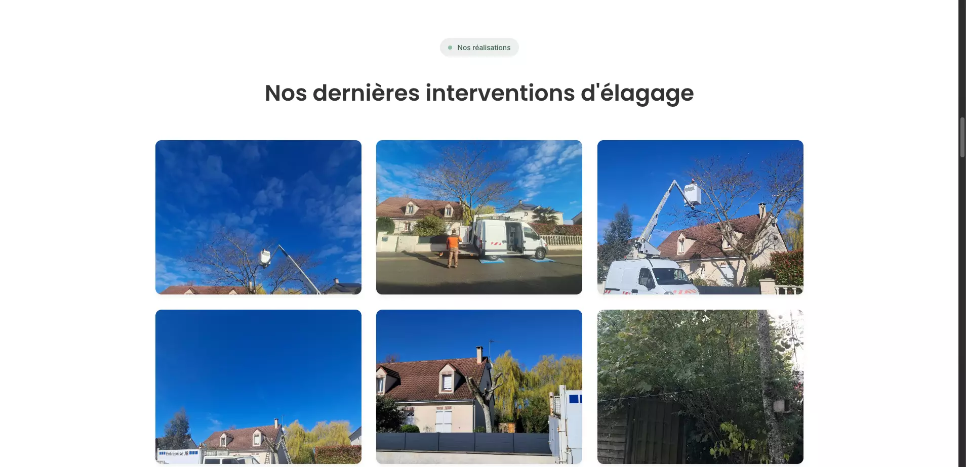 jb-elagage-orleans_nos-services-orleans_elagage-orleans-nos-realisations