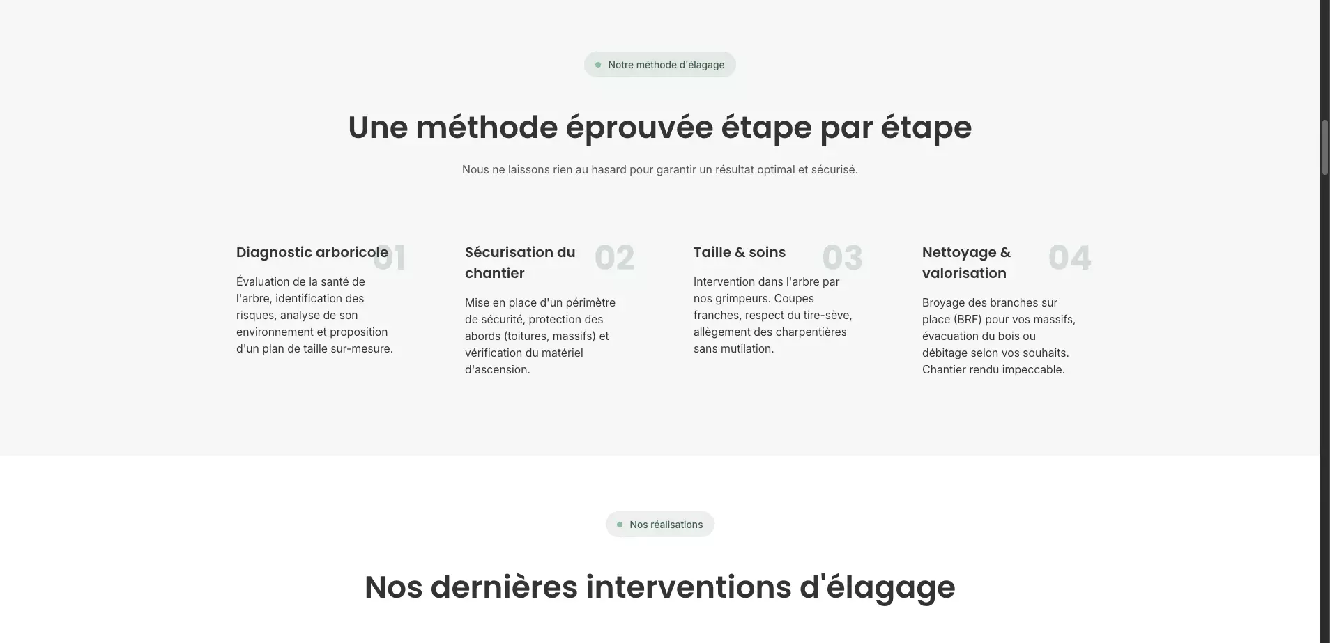 jb-elagage-orleans_nos-services-orleans_elagage-orleans-notre-processus